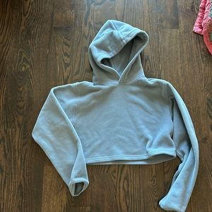 Aritzia Fleece Crop Hoodie